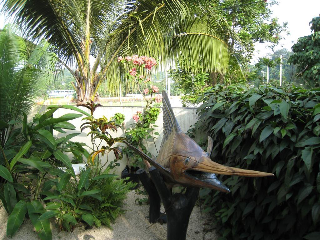 Travellers Budget Motel Port Vila Kültér fotó